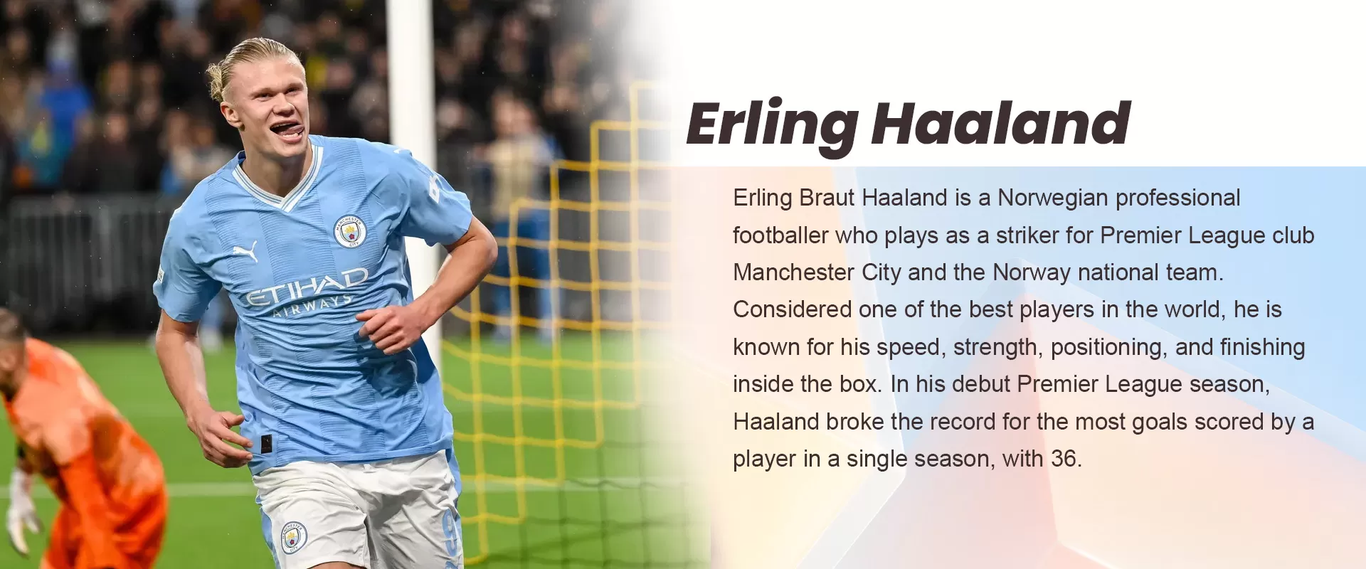 ERLING HAALAND BANNER - BuyJerseyshop