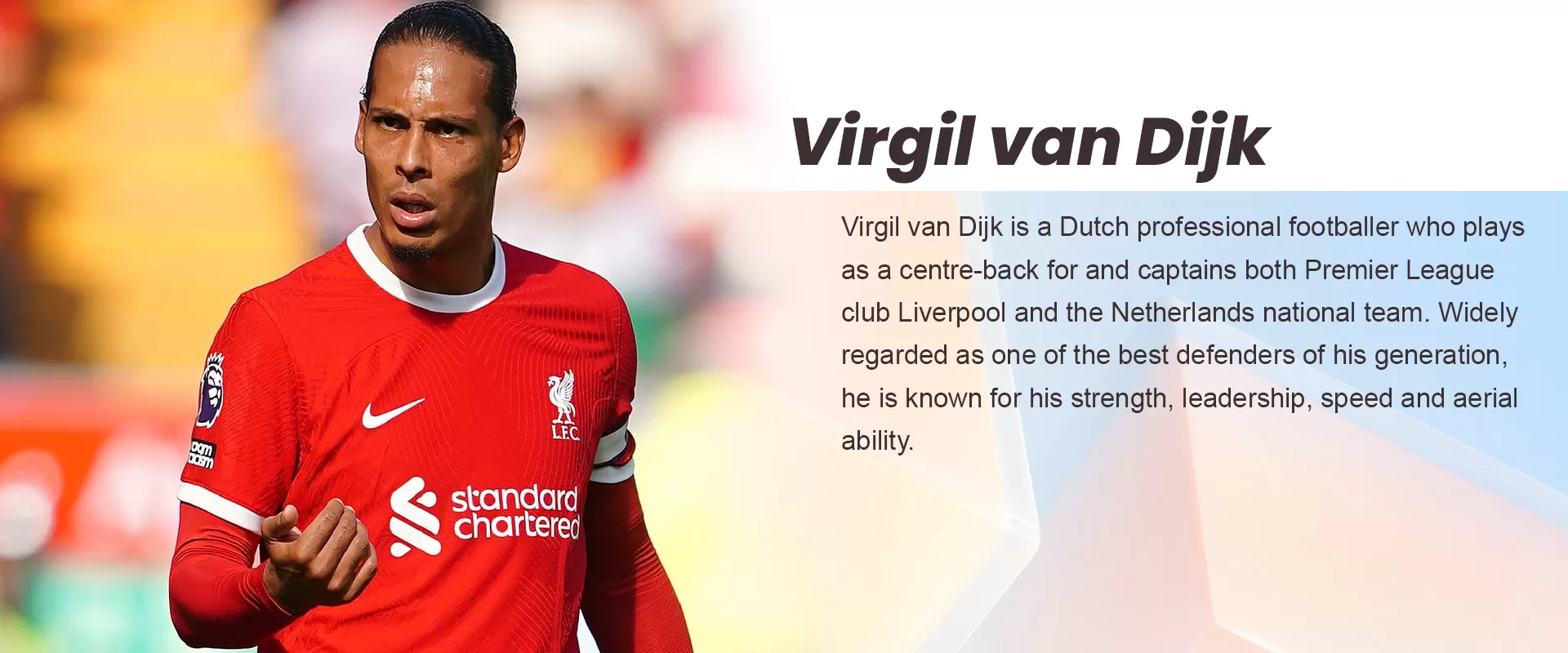 VIRGIL VAN-DIJK BANNER - BuyJerseyshop