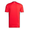 Men's Wales Home Soccer Jersey Shirt 2024 - BuyJerseyshop