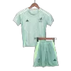 Kids Mexico Away Soccer Jersey Kit (Jersey+Shorts) 2024 - BuyJerseyshop