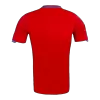 Spain Retro Jerseys 2010 Home Soccer Jersey For Men - BuyJerseyshop